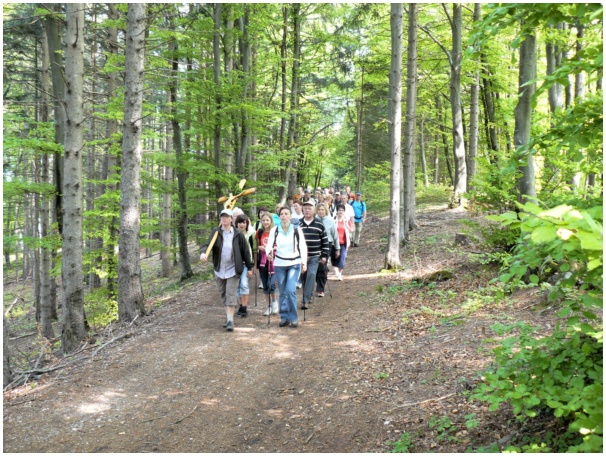 584x433 pixels (192K)